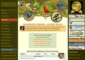 www.jaxbirding.com